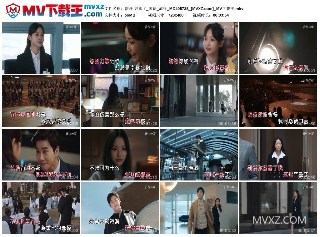 霈丹-言重了_国语_流行_MD405738